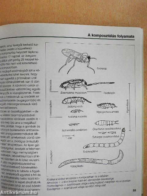 Kerti komposztálás