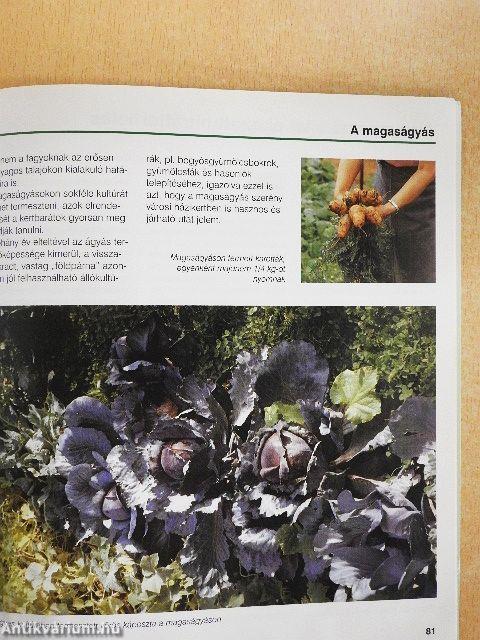 Kerti komposztálás