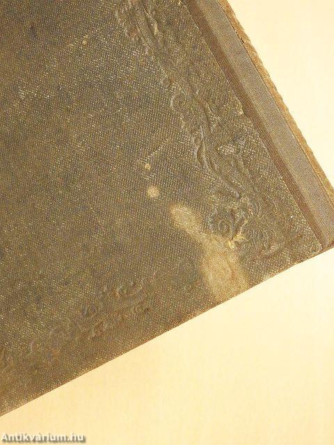 Der Bibelschatz I. (gótbetűs)