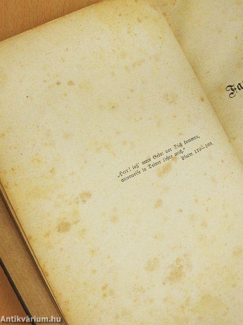 Der Bibelschatz I. (gótbetűs)