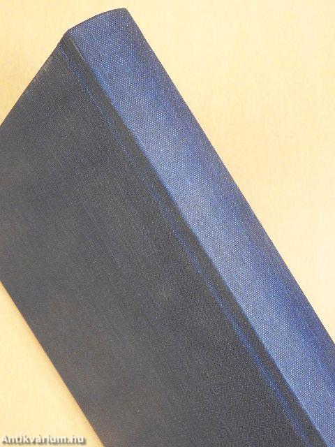 Der Bibelschatz II. (gótbetűs)