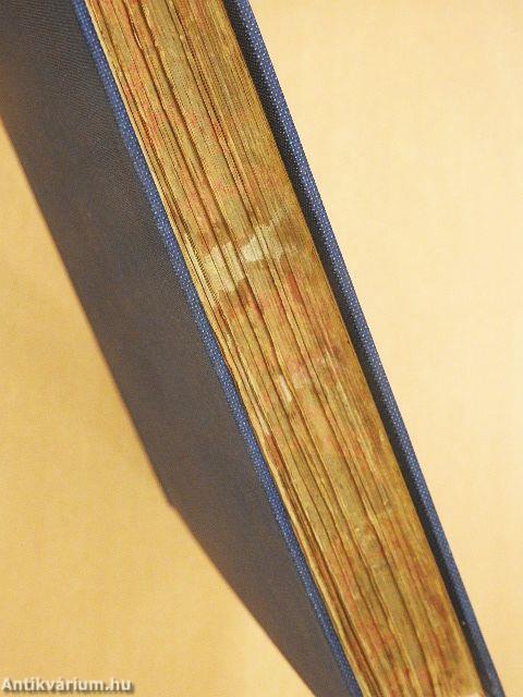 Der Bibelschatz II. (gótbetűs)