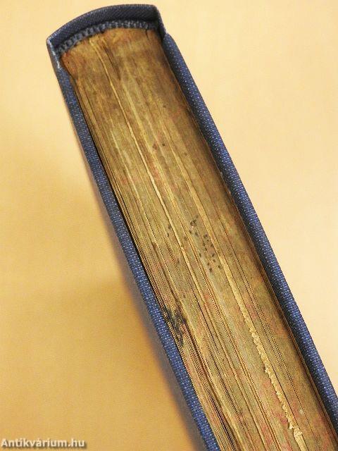 Der Bibelschatz II. (gótbetűs)