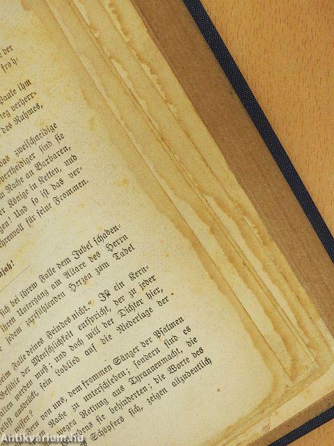 Der Bibelschatz II. (gótbetűs)