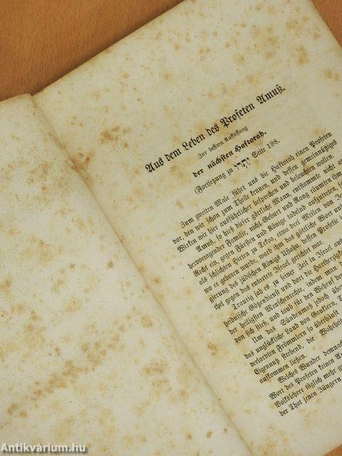 Bibel- und Talmudschatz II/2. (gótbetűs)