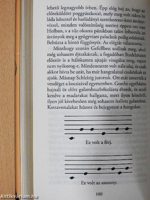 Egy szerelmes férfi