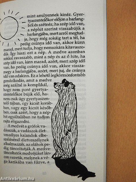 Képtelen természetrajz