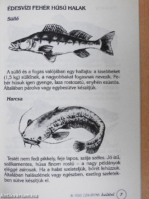 A 100 legjobb halétel
