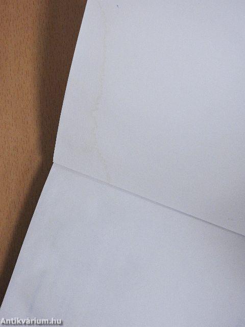 Vers és próza a modernség második hullámában