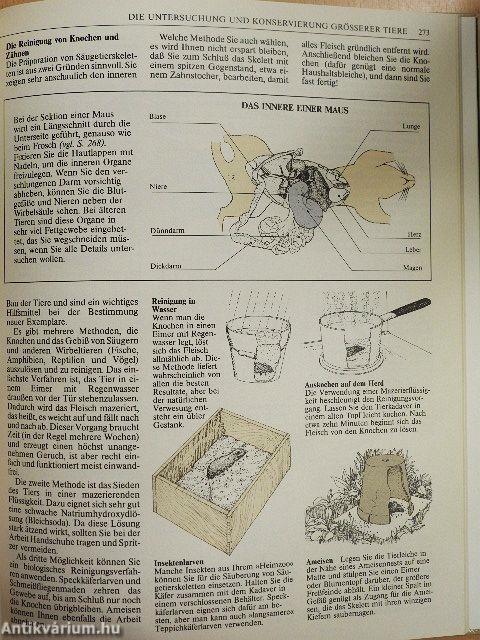 Der große Naturführer für die Familie