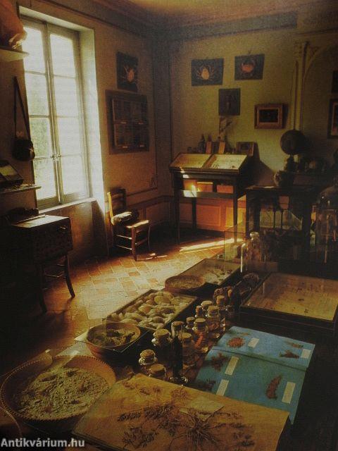 Der große Naturführer für die Familie