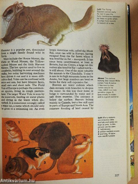 The Hamlyn Children's Encyclopedia in colour