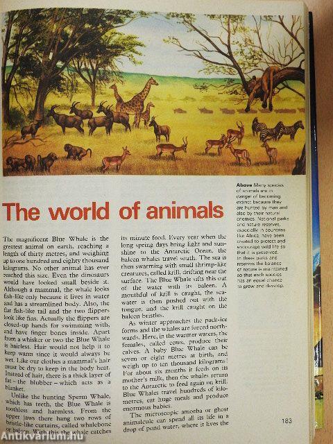 The Hamlyn Children's Encyclopedia in colour