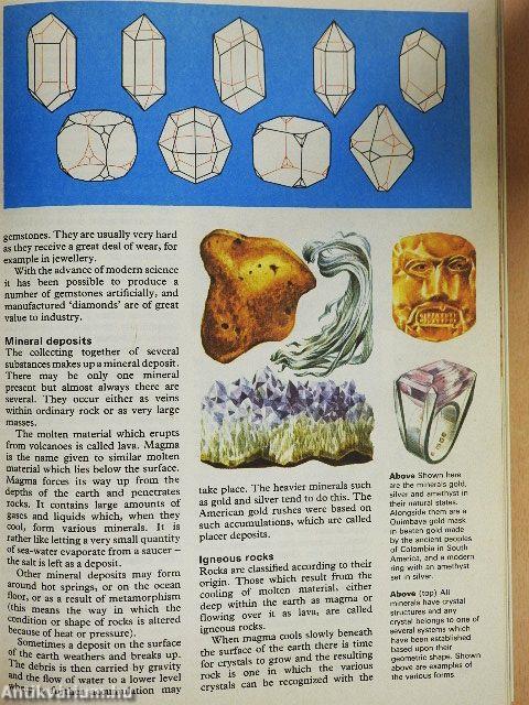 The Hamlyn Children's Encyclopedia in colour
