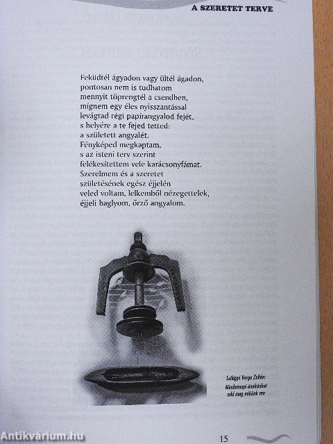 Magyar múzsa 2017. december