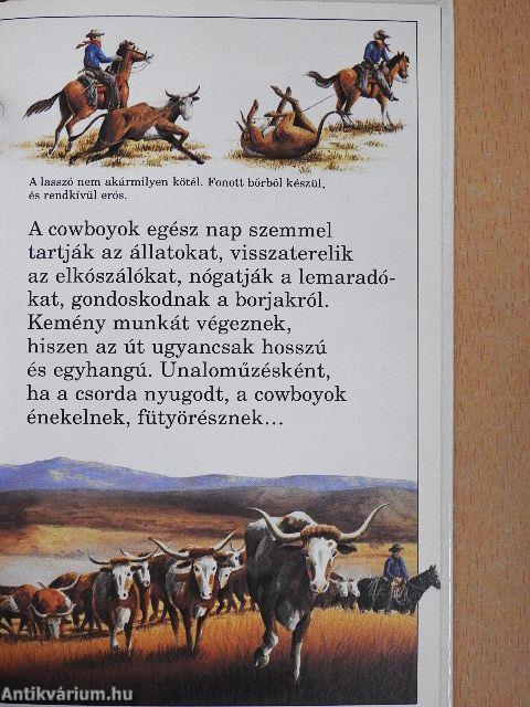 A Vadnyugat meghódítása