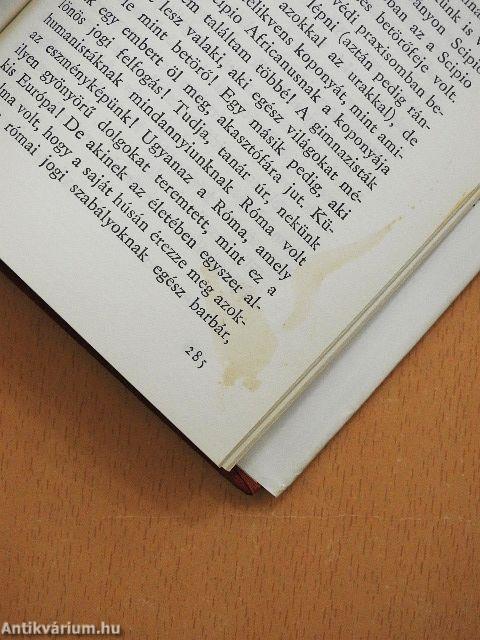 Filip Latinovicz hazatérése