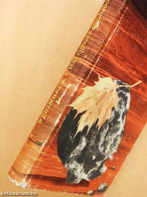 Volt egyszer egy háború