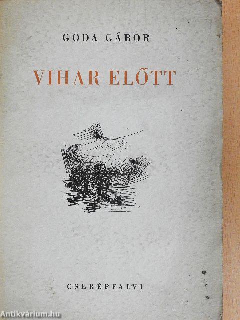 Vihar előtt