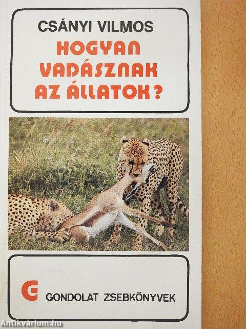 Hogyan vadásznak az állatok?