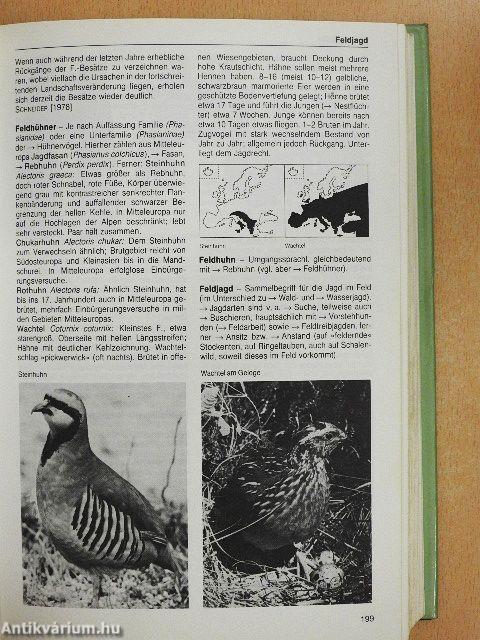 Jagd Lexikon