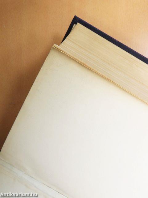 Angol-magyar szótár