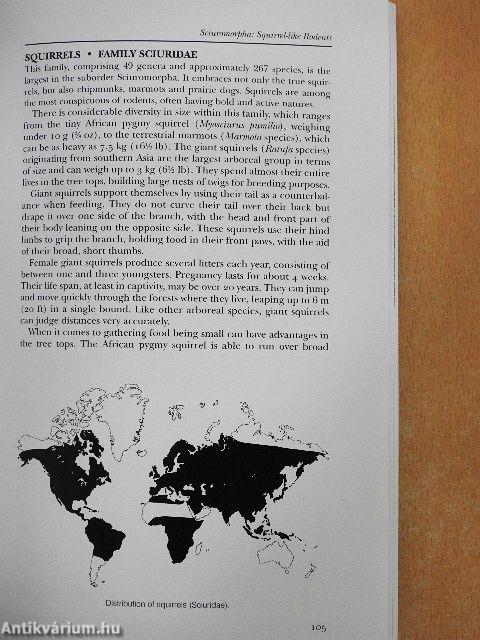 Rodents of the World