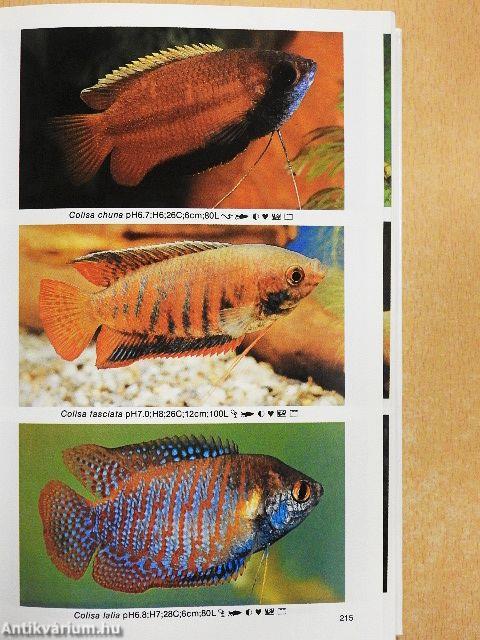Dr. Axelrod's Mini-Atlas of Freshwater Aquarium Fishes