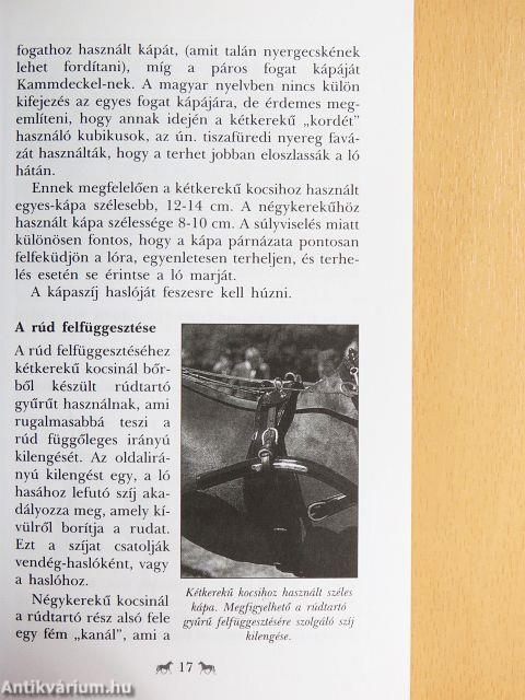 Az egyes fogat és hajtása