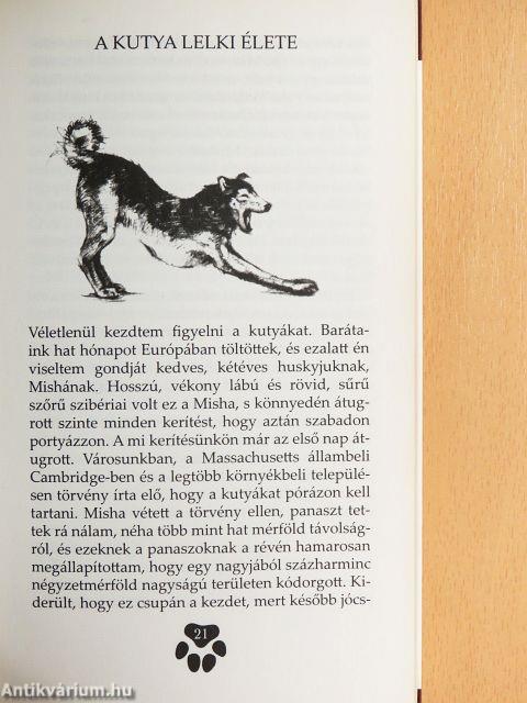 A kutya lelki élete