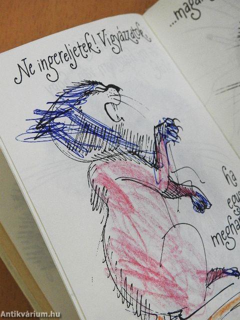 Kandúrhatnámságok