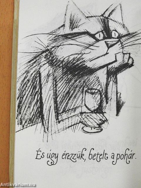 Kandúrhatnámságok