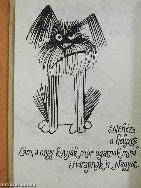 Kandúrhatnámságok