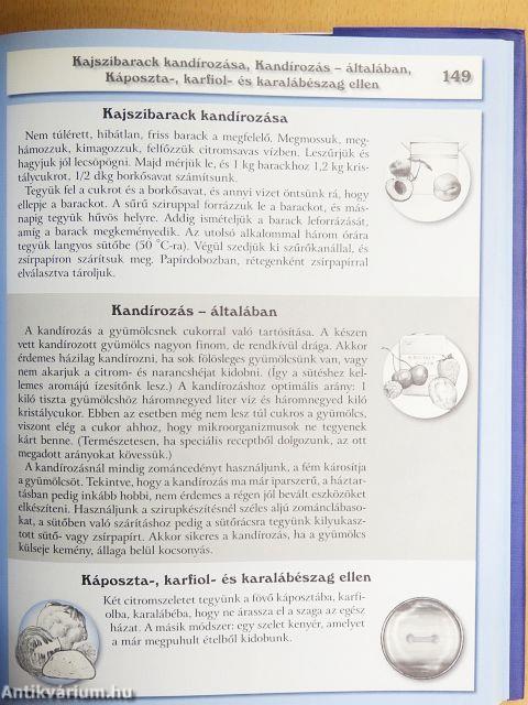 Háztartási kisokos