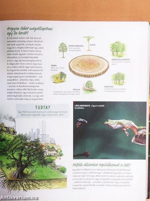 A tudás nagykönyve