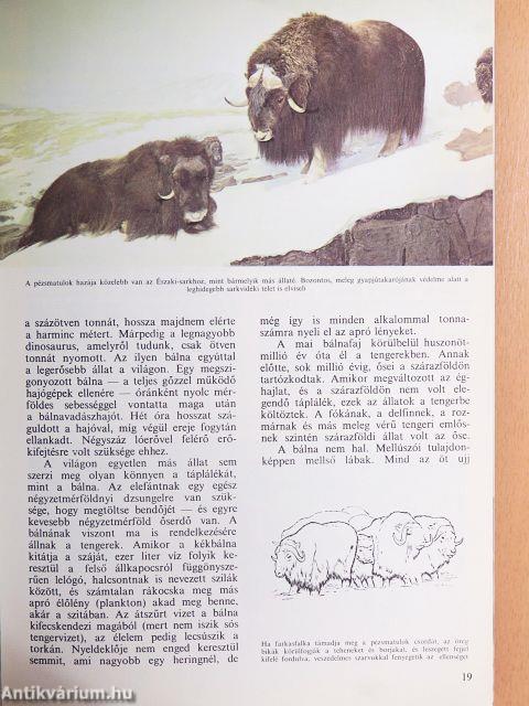 A természet világa