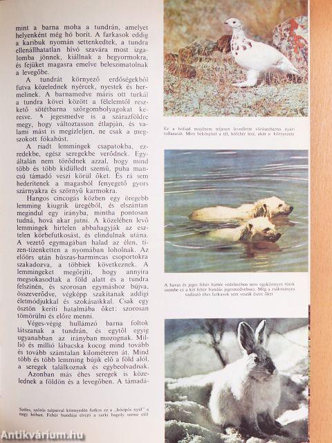 A természet világa