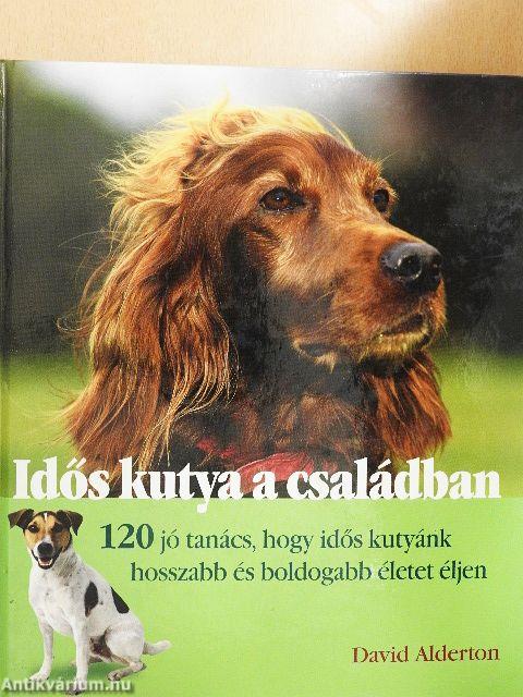 Idős kutya a családban