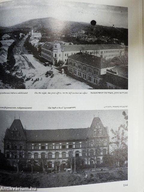 Berehovo-Beregszász zsidósága képekben