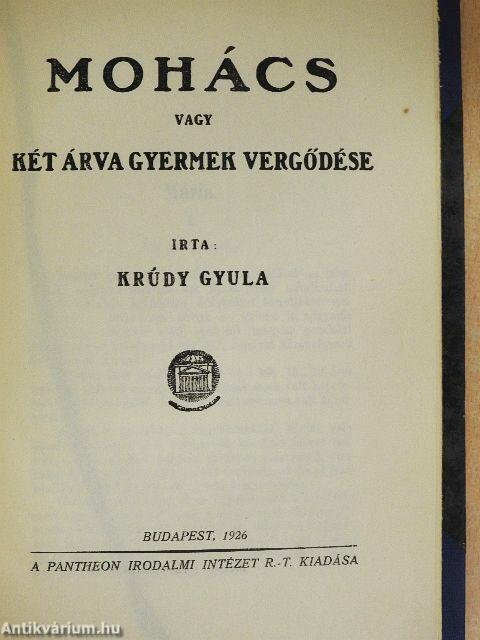 Mohács vagy két árva gyermek vergődése