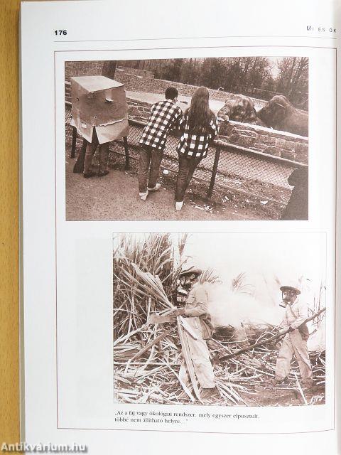 Erkölcsi esettanulmányok