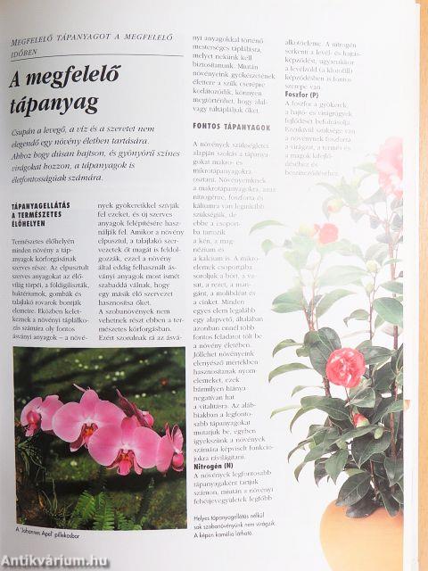 Szobanövények kézikönyve