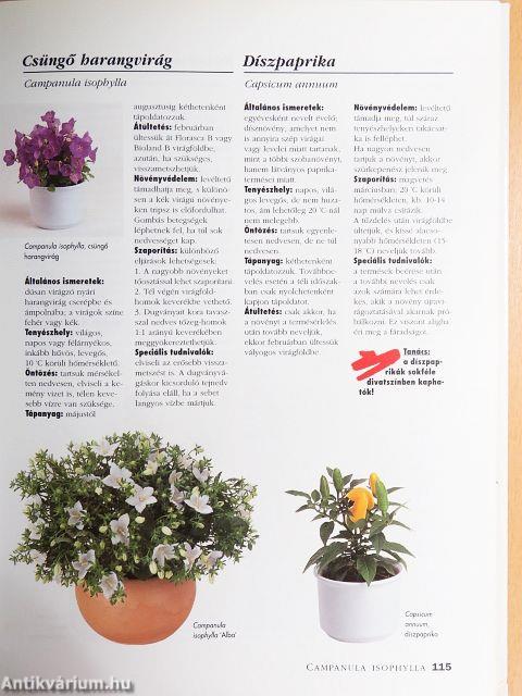 Szobanövények kézikönyve