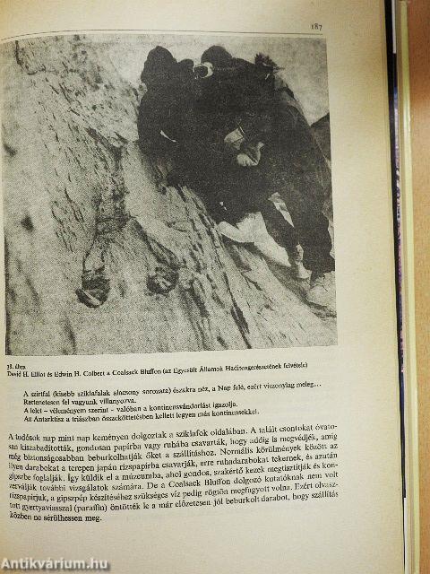 A vándorló kontinensek