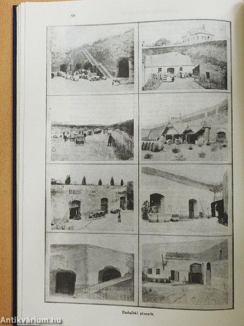 Pest-Pilis-Solt-Kiskun Vármegye II.