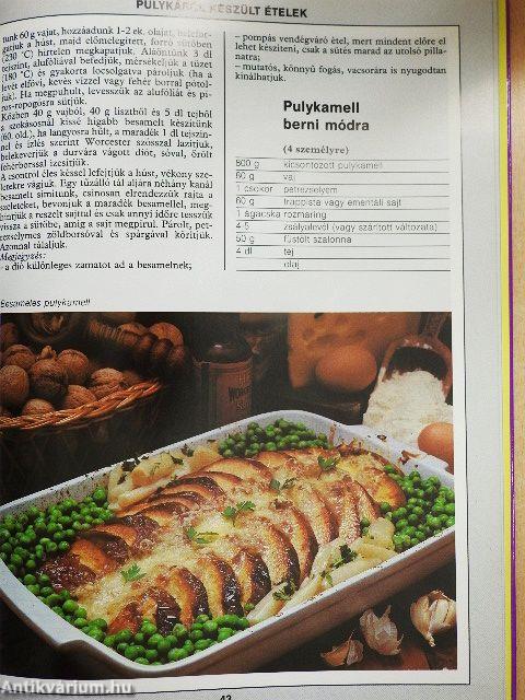 99 szárnyasétel 33 színes ételfotóval