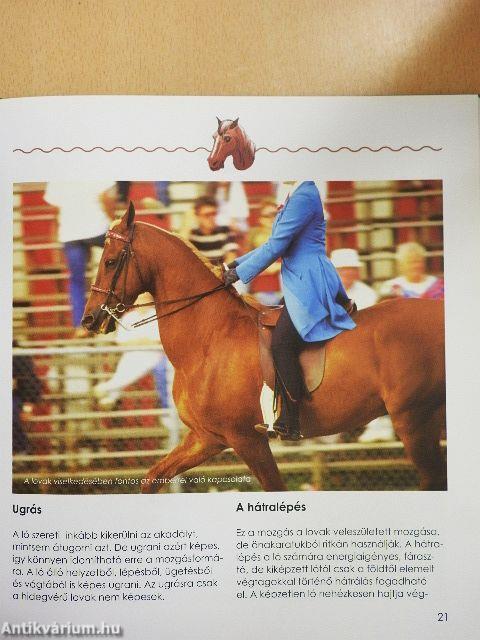 Fiatal lovasok kézikönyve