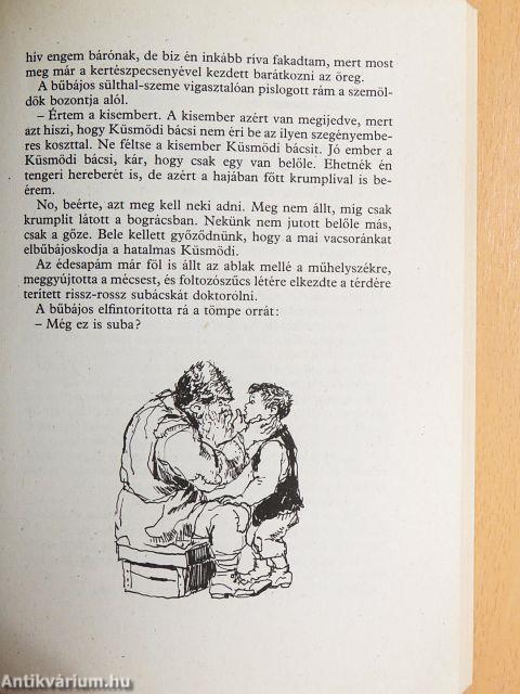 Kincskereső kisködmön