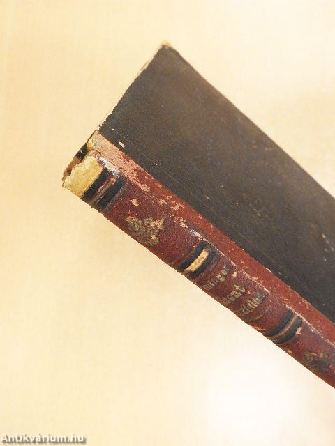 Eredeti, rövid s gyakorlati szent beszédek, az év minden vasárnapjára