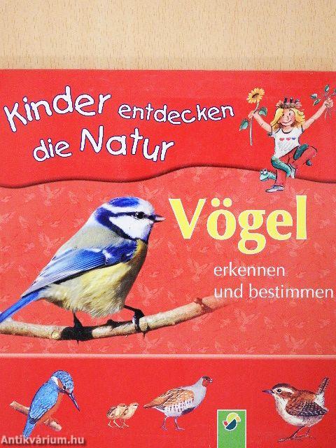 Kinder entdecken die Natur - Vögel